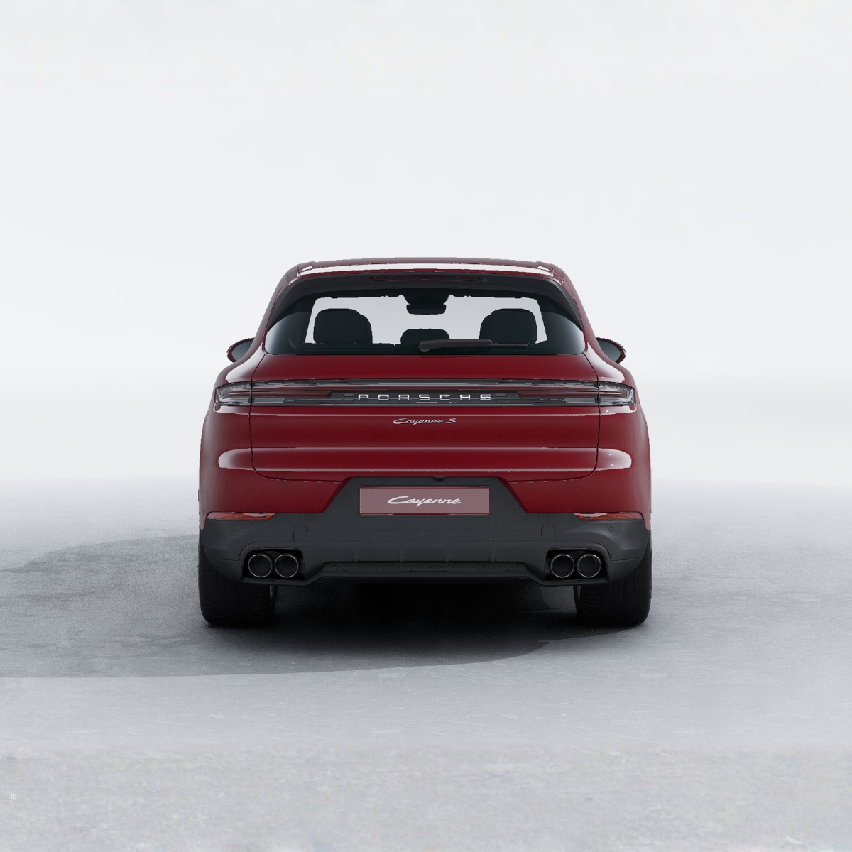 PORSCHE PAVASARIS (4)